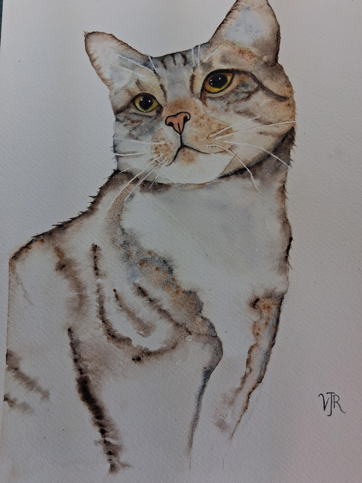 Tabby Lady