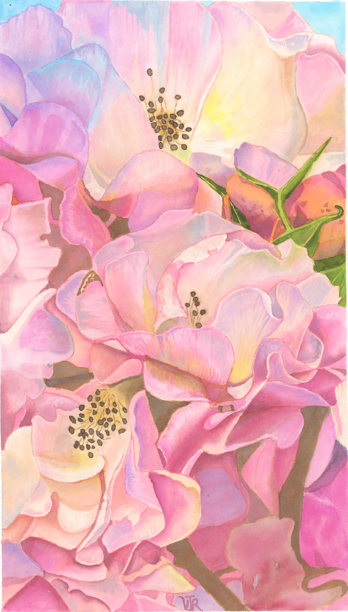 Frilly Roses